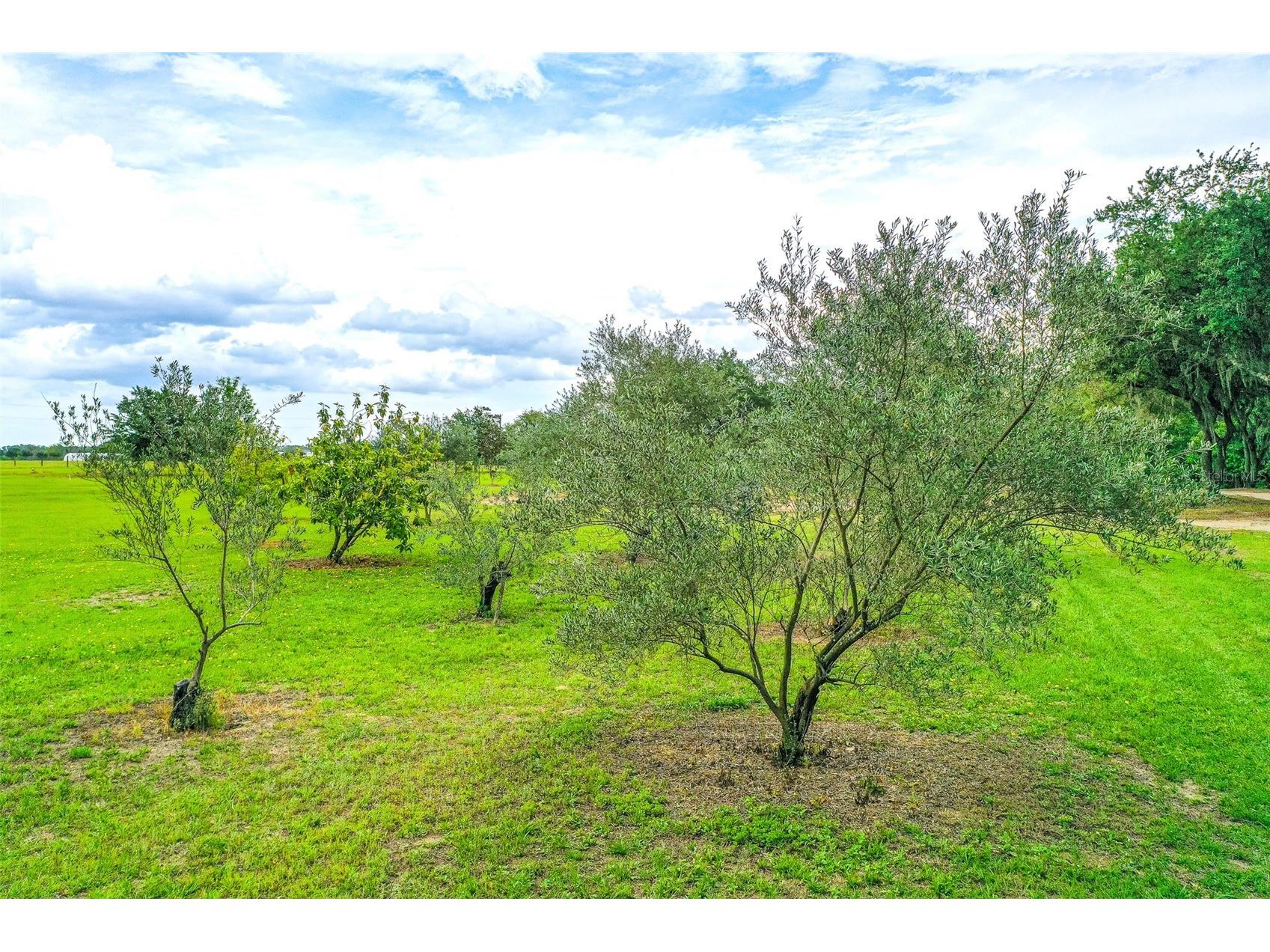 6850 Hunt Road Groveland FL 34736 L4960791 image62