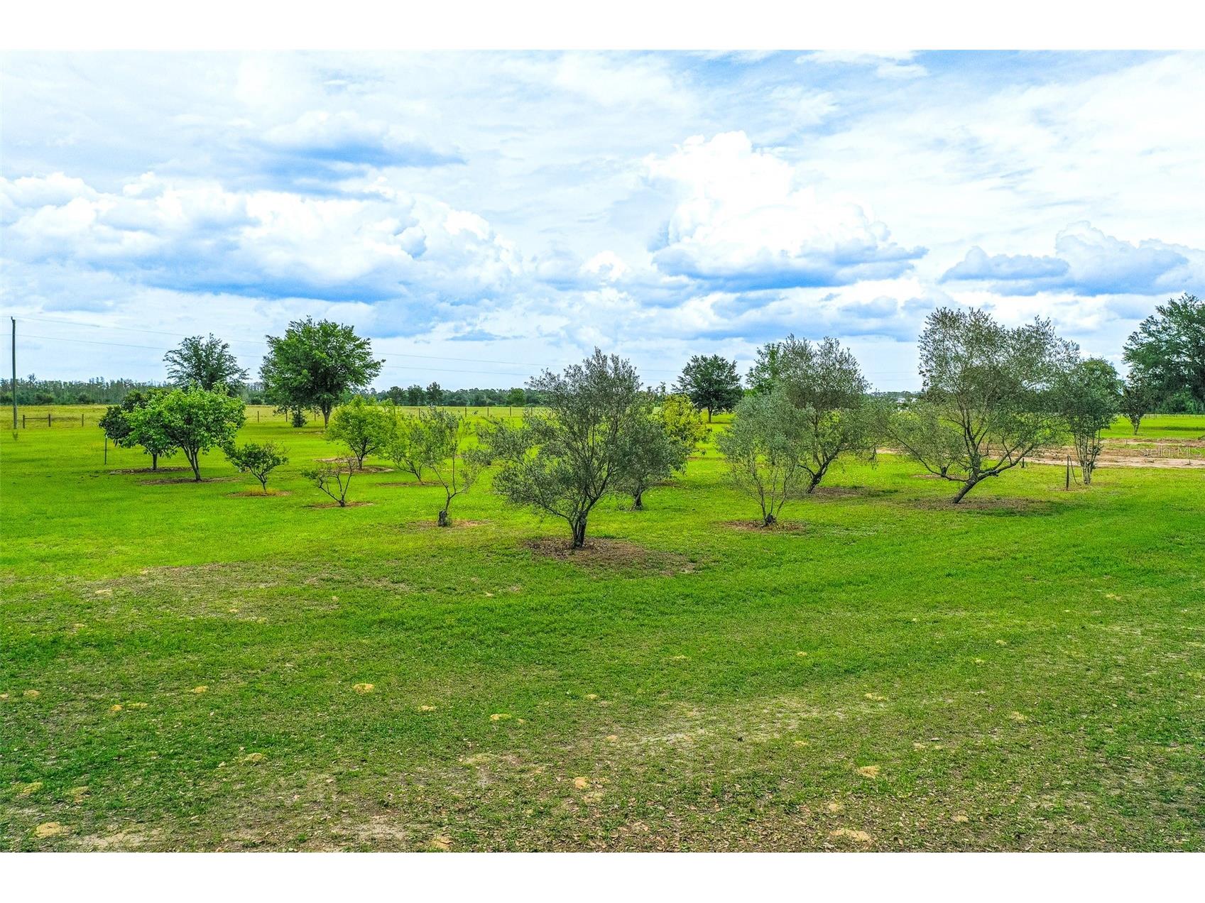 6850 Hunt Road Groveland FL 34736 L4960791 image63