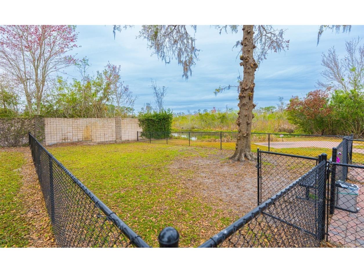 6853 Amanda Vista Circle Land O Lakes FL 34637 TB8381662 image59
