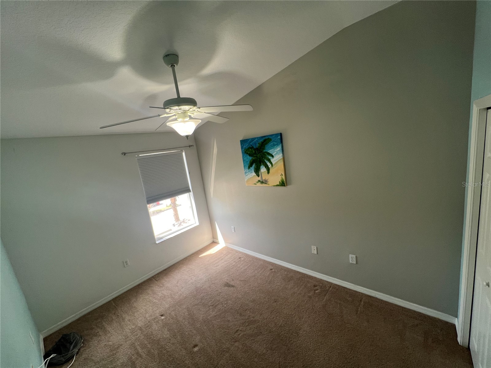 6854 47th Way N Pinellas Park FL 33781 TB8486904 image15