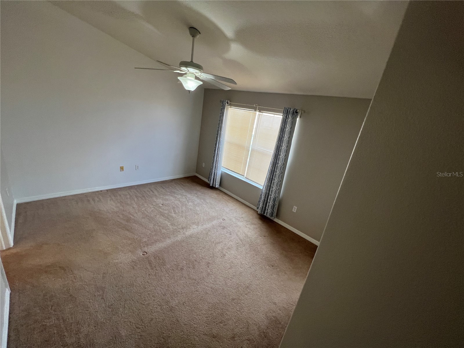 6854 47th Way N Pinellas Park FL 33781 TB8486904 image19