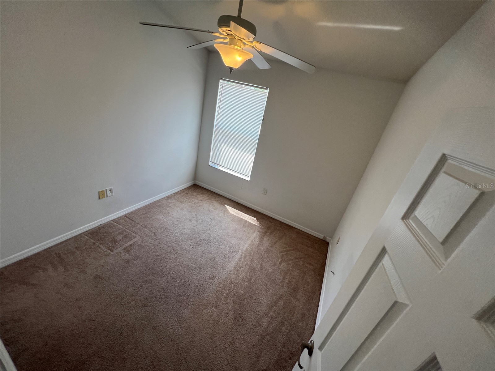 6854 47th Way N Pinellas Park FL 33781 TB8486904 image23