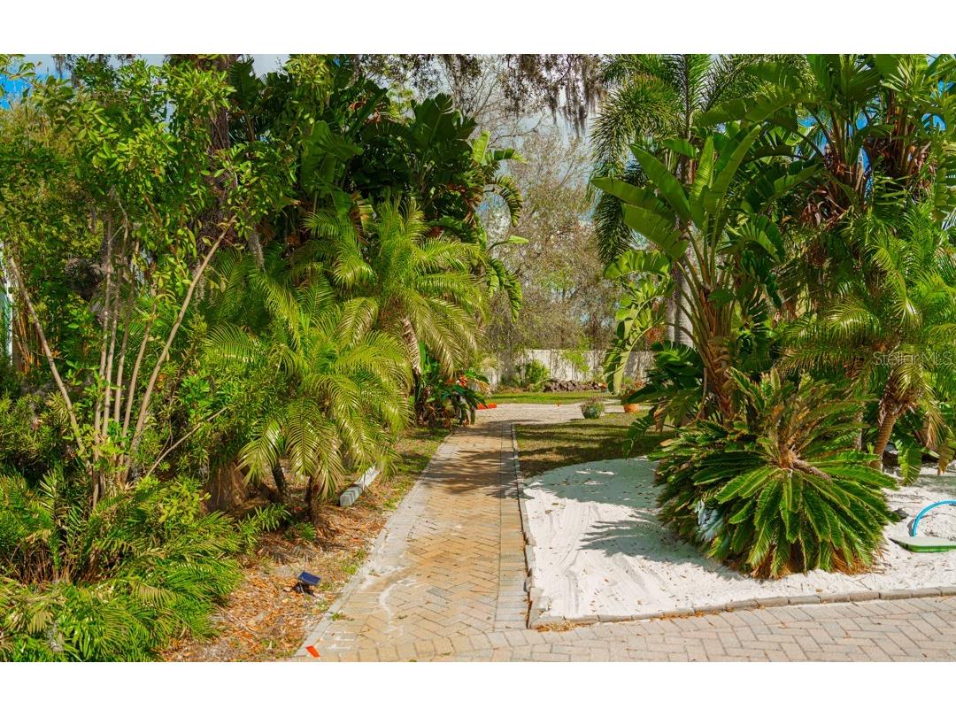 6857 Amanda Vista Circle Land O Lakes FL 34637 TB8346666 image10