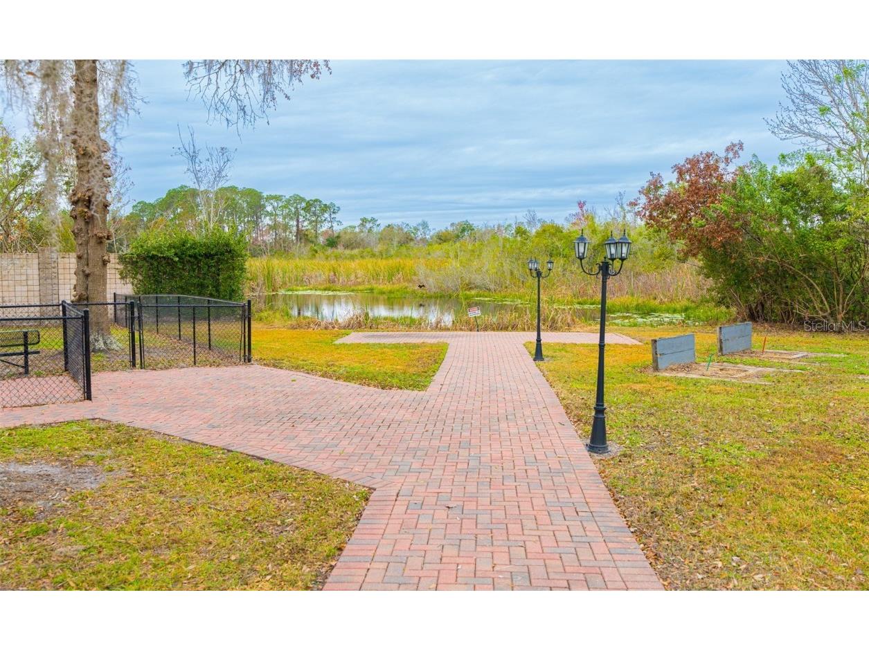 6857 Amanda Vista Circle Land O Lakes FL 34637 TB8346666 image33