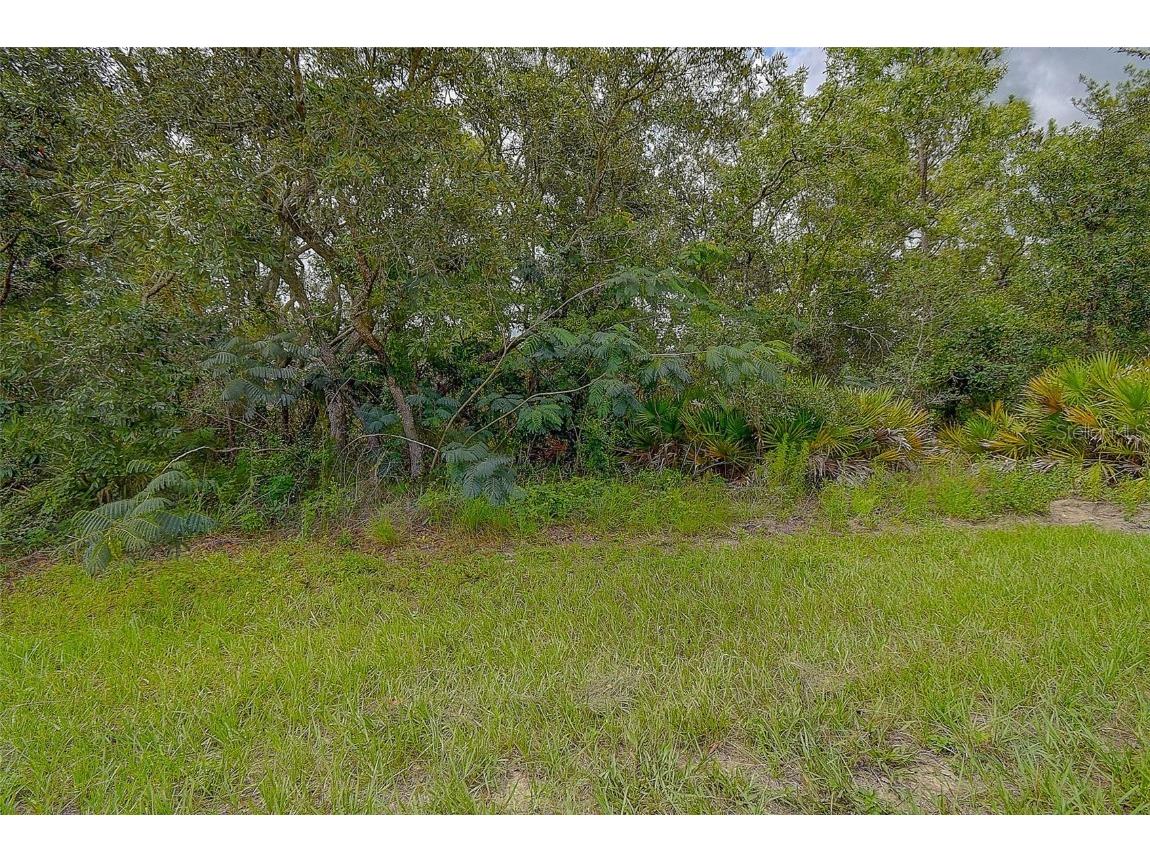 6859 W Merrivale Lane Homosassa FL 34446 TB8397774 image13