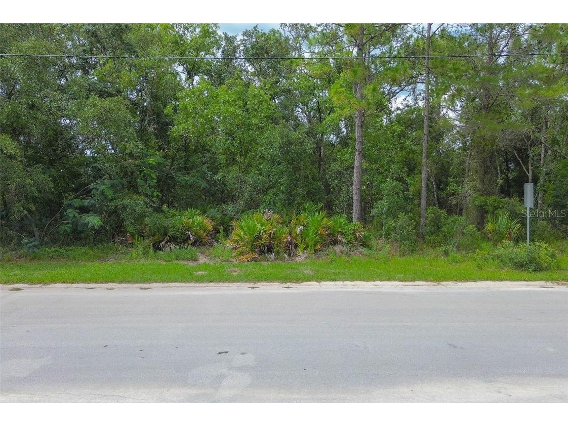 6859 W Merrivale Lane Homosassa FL 34446 TB8397774 image2