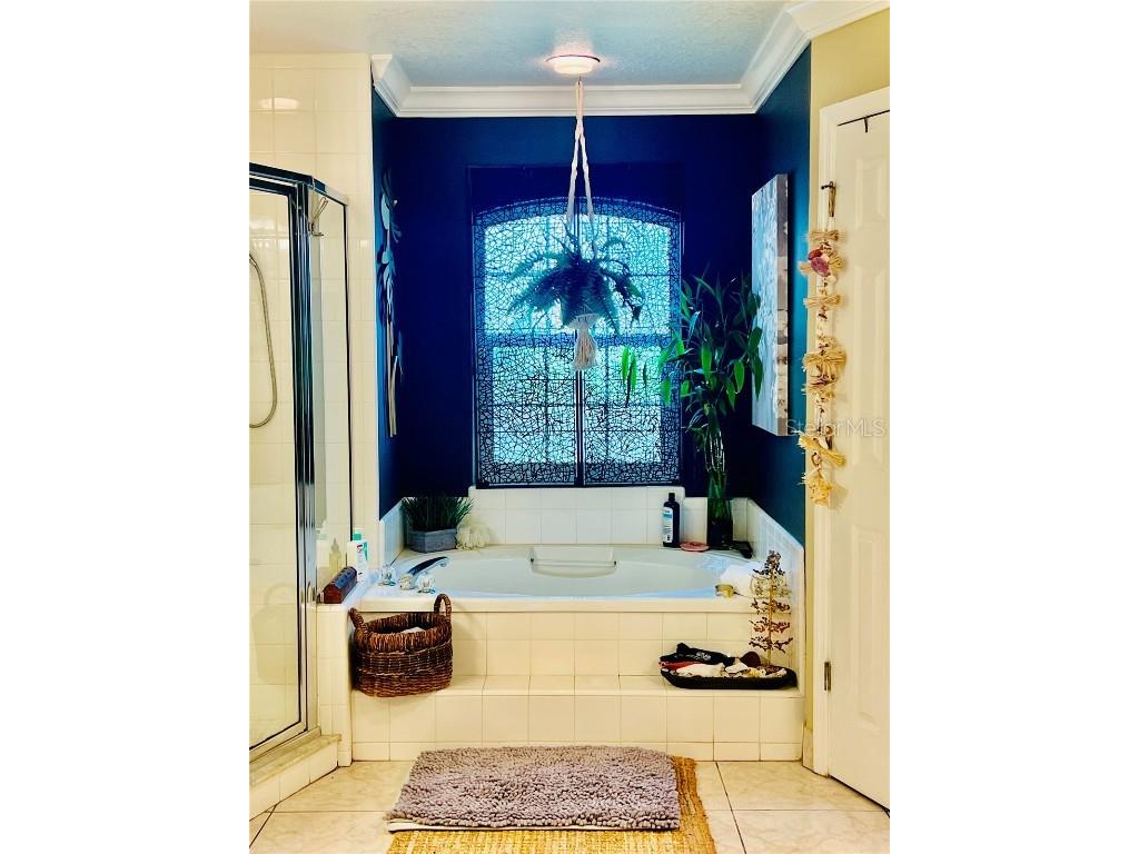 686 Park Valley Circle Minneola FL 34715 - LAKE MINNEOLA G5104397 image18