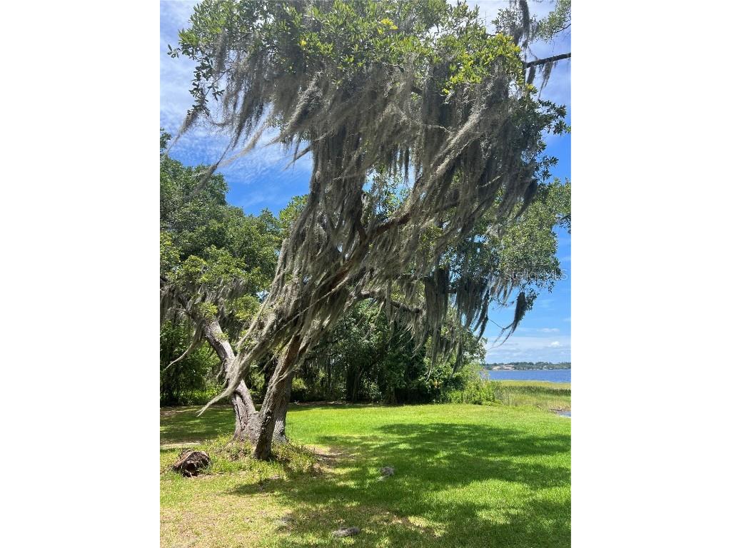 686 Park Valley Circle Minneola FL 34715 - LAKE MINNEOLA G5104397 image32