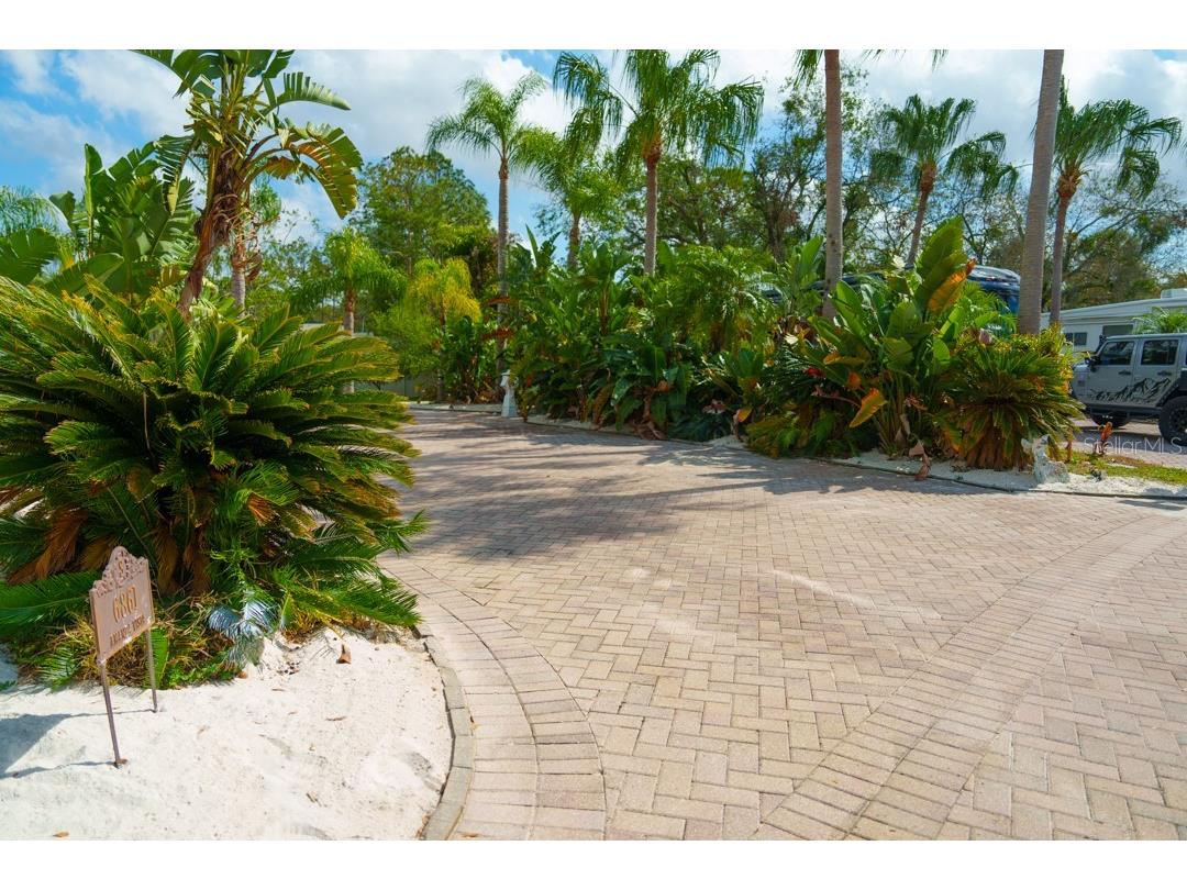 6861 Amanda Vista Circle Land O Lakes FL 34637 TB8346675 image11