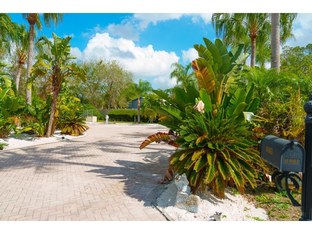 6861 Amanda Vista Circle Land O Lakes FL 34637 TB8346675 image16