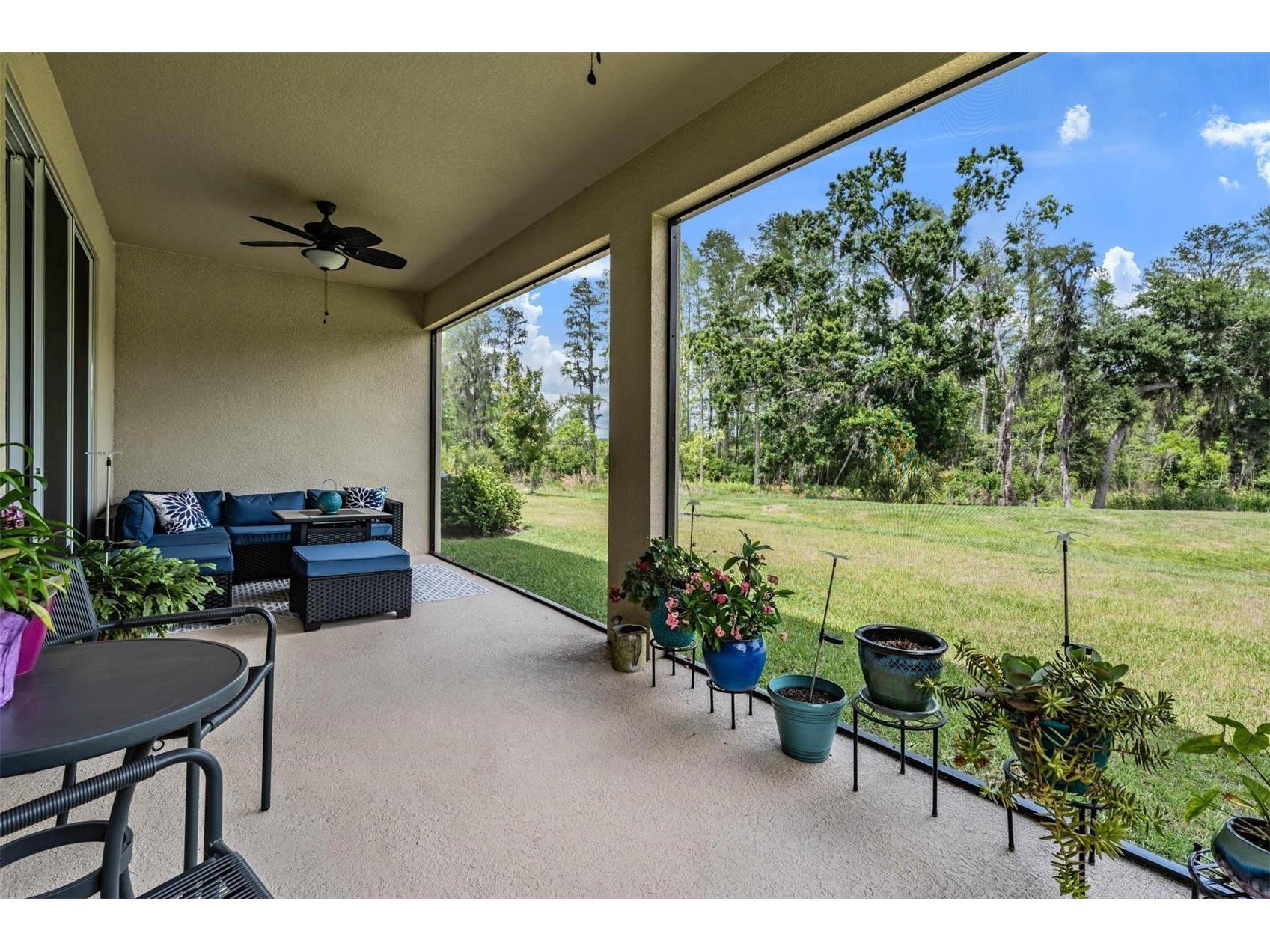 6862 Broad River Avenue Land O Lakes FL 34638 TB8499906 image27