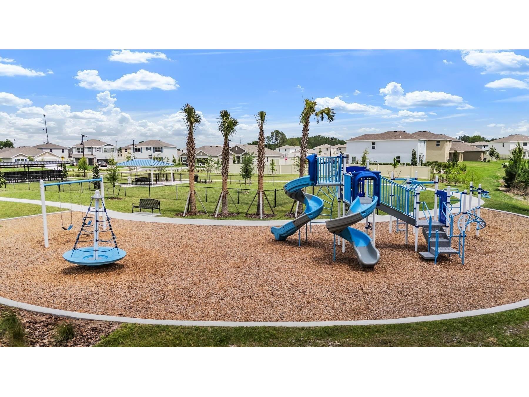 6862 Broad River Avenue Land O Lakes FL 34638 TB8499906 image31