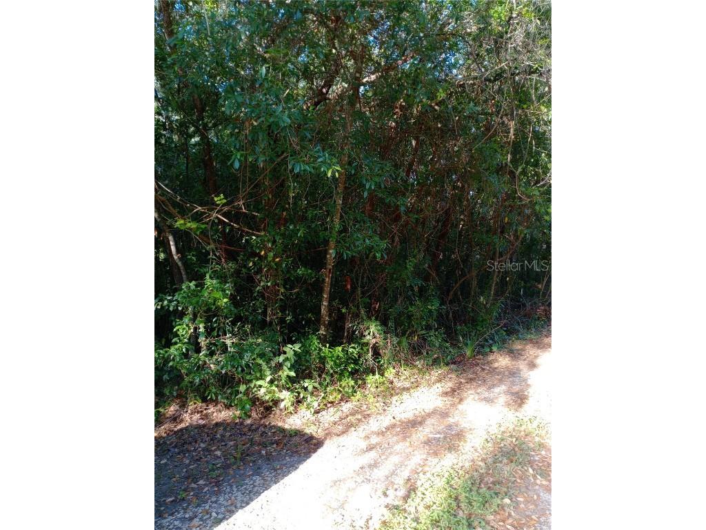 6864 W Ottas Court Crystal River FL 34429 OM700184 image13