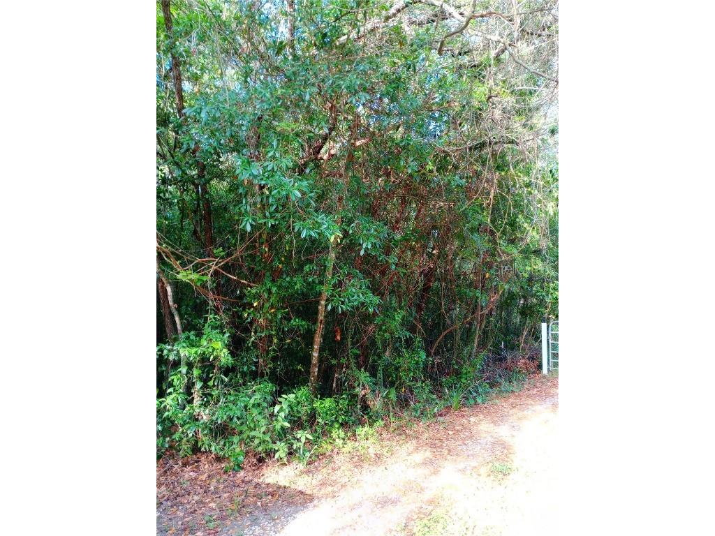 6864 W Ottas Court Crystal River FL 34429 OM700184 image16