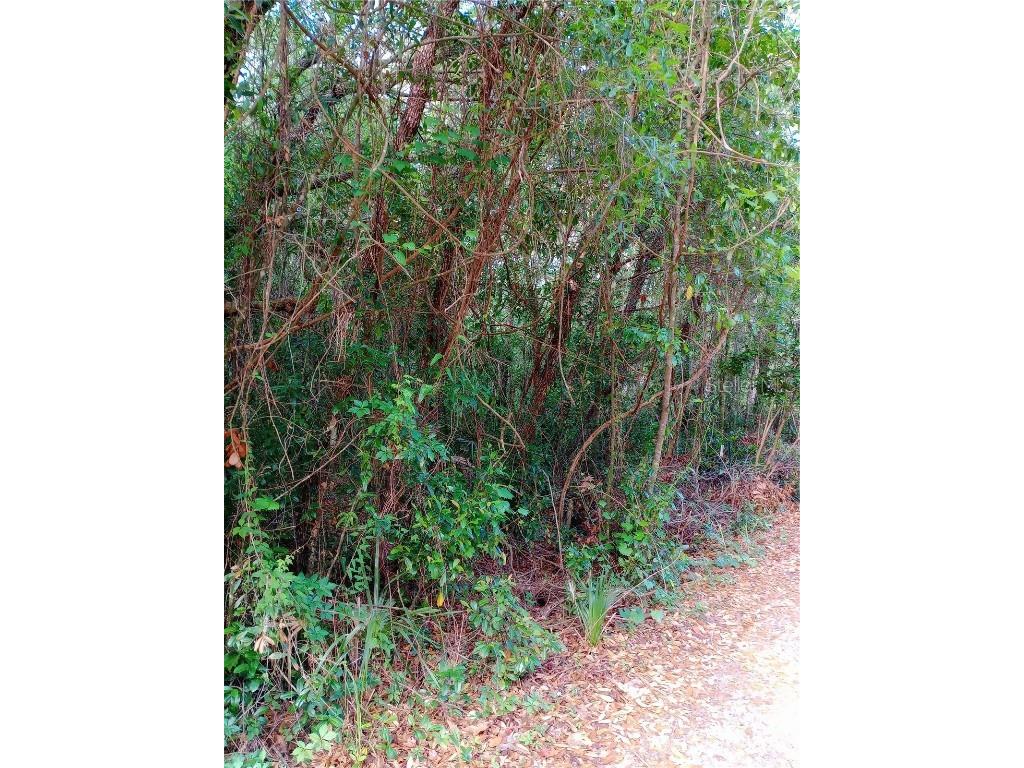 6864 W Ottas Court Crystal River FL 34429 OM700184 image17