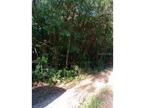 6864 W Ottas Court Crystal River FL 34429 OM718331 image12