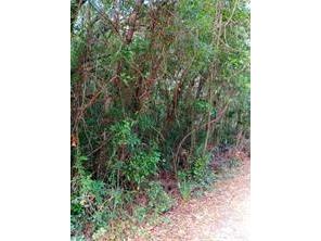 6864 W Ottas Court Crystal River FL 34429 OM718331 image16