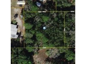 6864 W Ottas Court Crystal River FL 34429 OM718331 image2