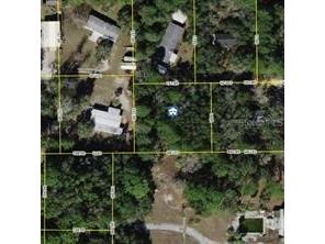 6864 W Ottas Court Crystal River FL 34429 OM718331 image6