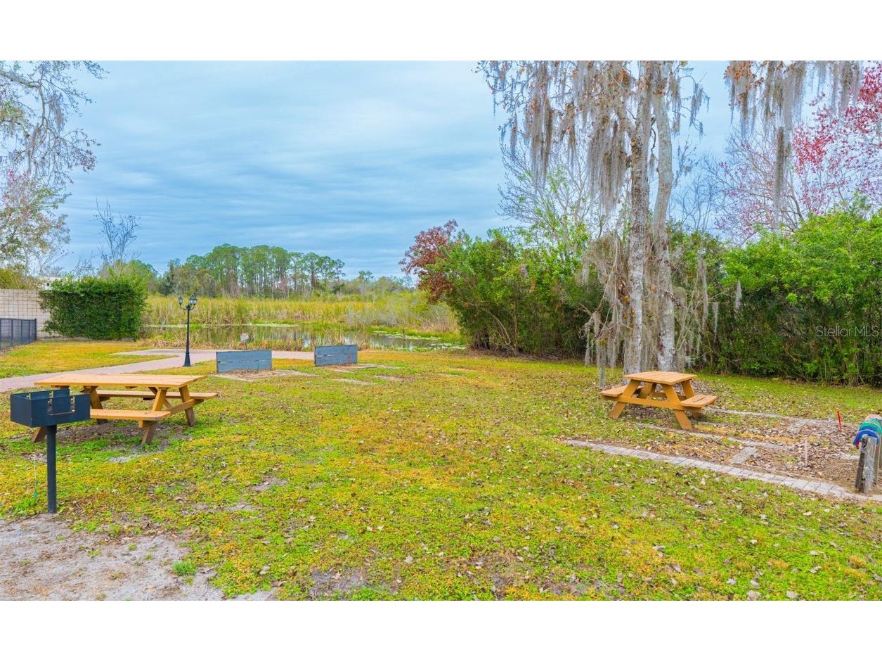 6865 Amanda Vista Circle Land O Lakes FL 34637 TB8347164 image32