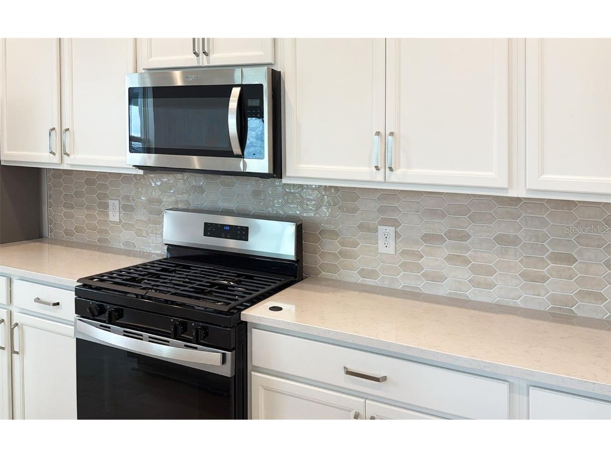 6867 Spanish Imperial Street Howey In The Hills FL 34737 O6341169 image6