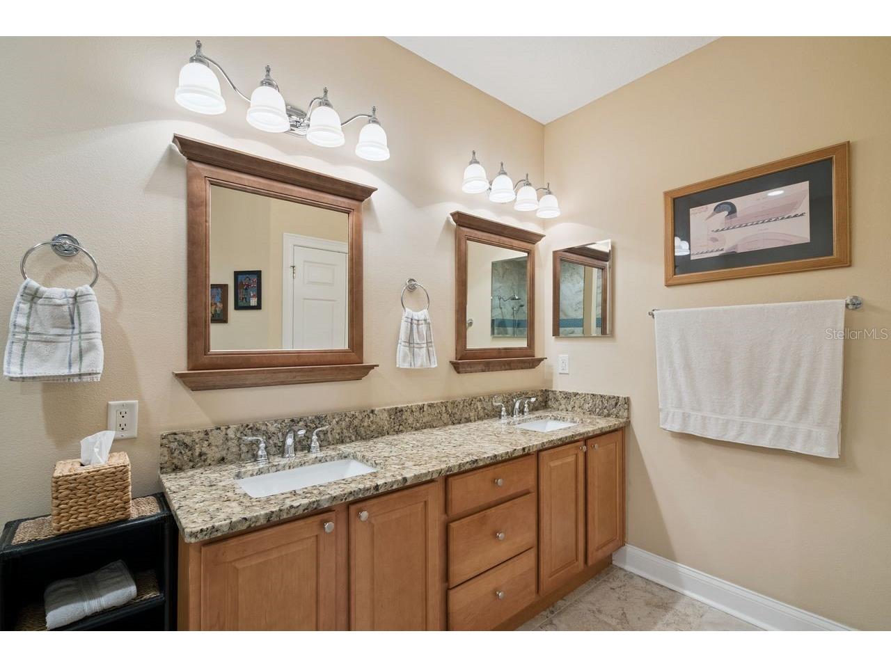 6869 Piazza Street Orlando FL 32819 O6412723 image11
