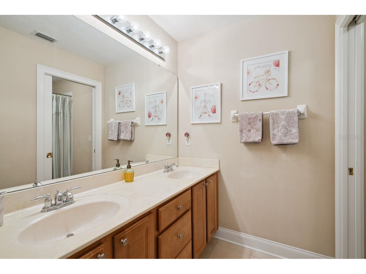 6869 Piazza Street Orlando FL 32819 O6412723 image35