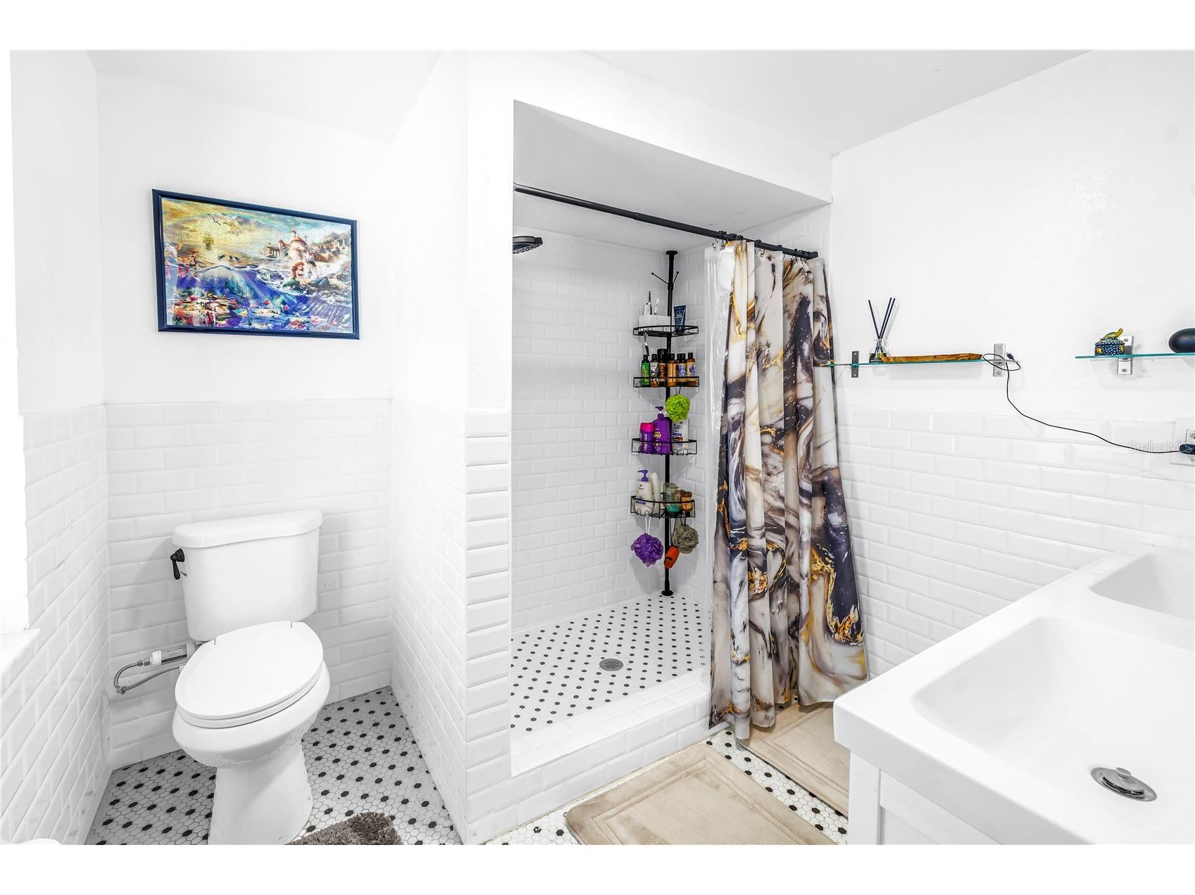 687 Jasmine Way S Saint Petersburg FL 33705 TB8510584 image22