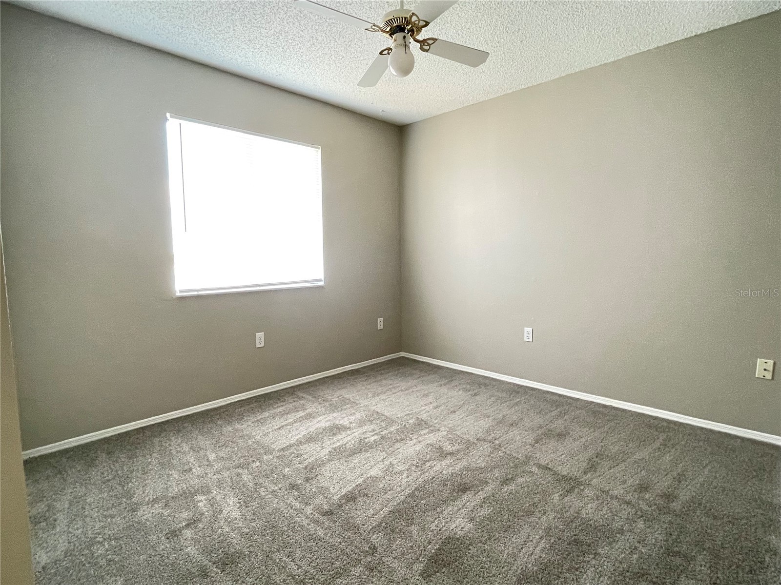 687 Lake Dexter Circle Winter Haven FL 33884 - LAKE DEXTER L4963540 image15