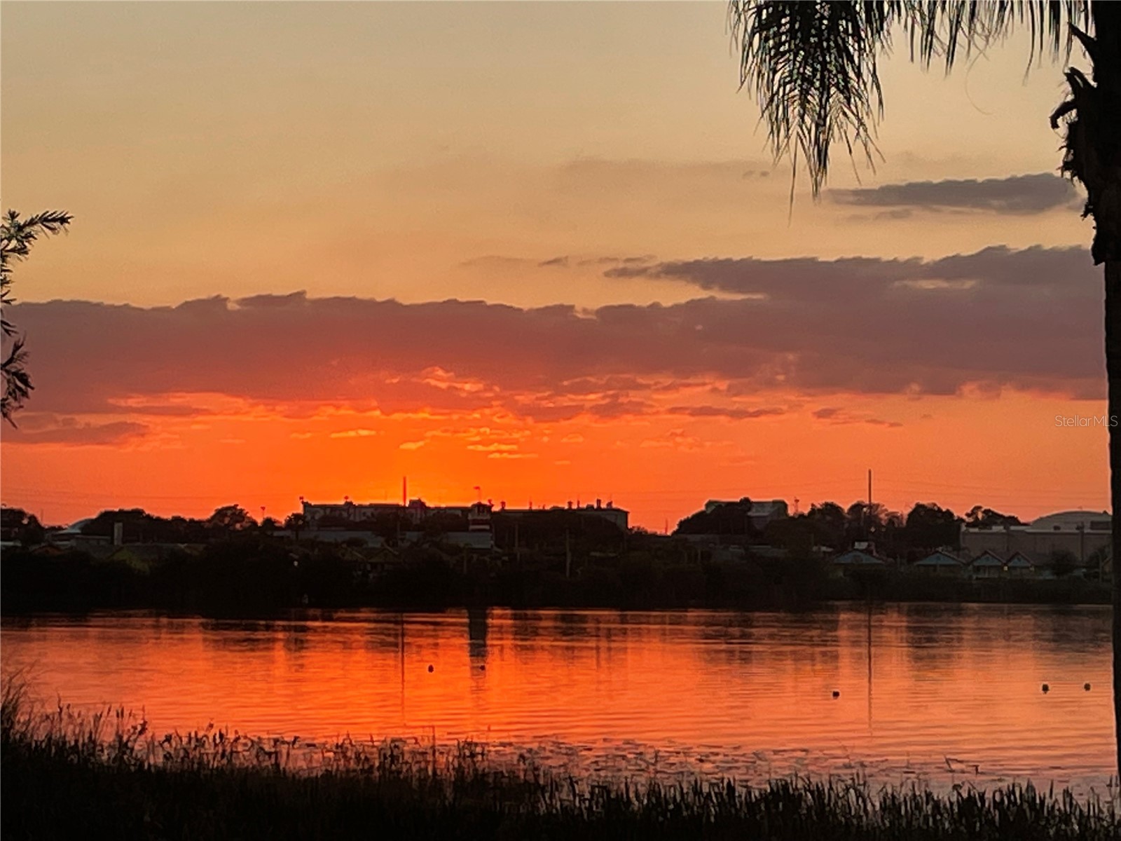 687 Lake Dexter Circle Winter Haven FL 33884 - LAKE DEXTER L4963540 image29