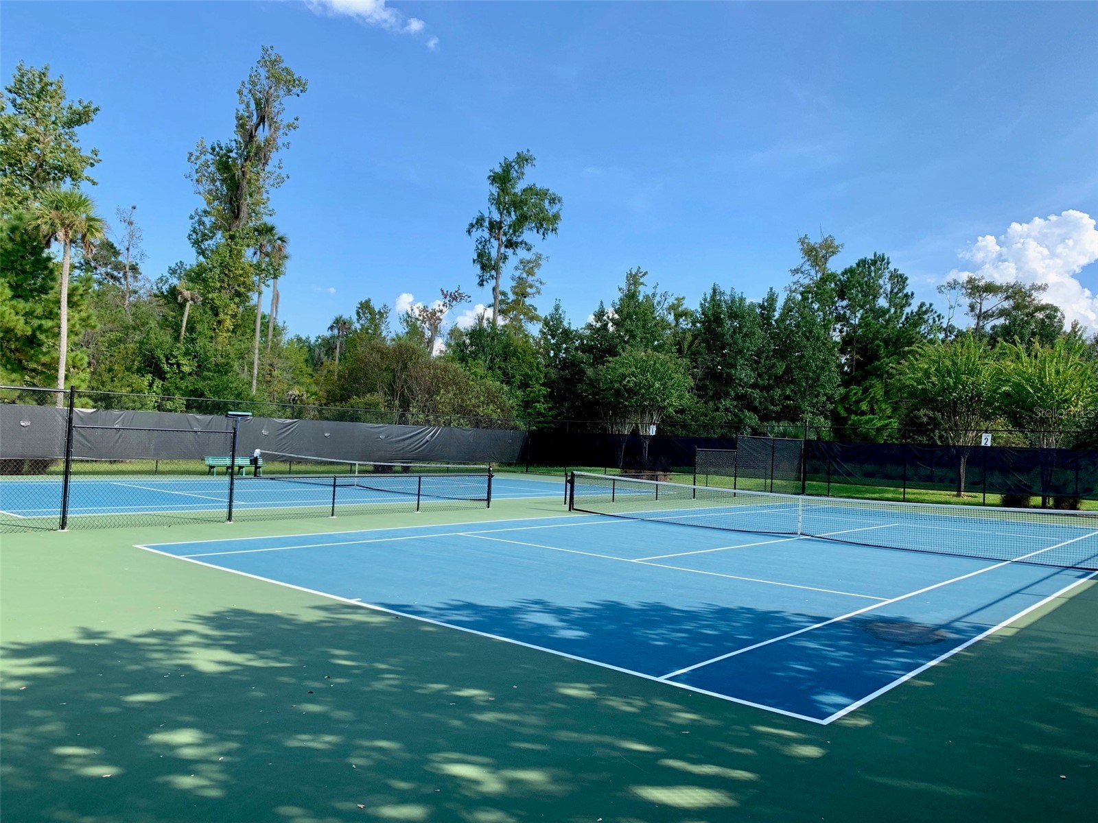 687 Shadowmoss Circle Lake Mary FL 32746 O6402493 image78