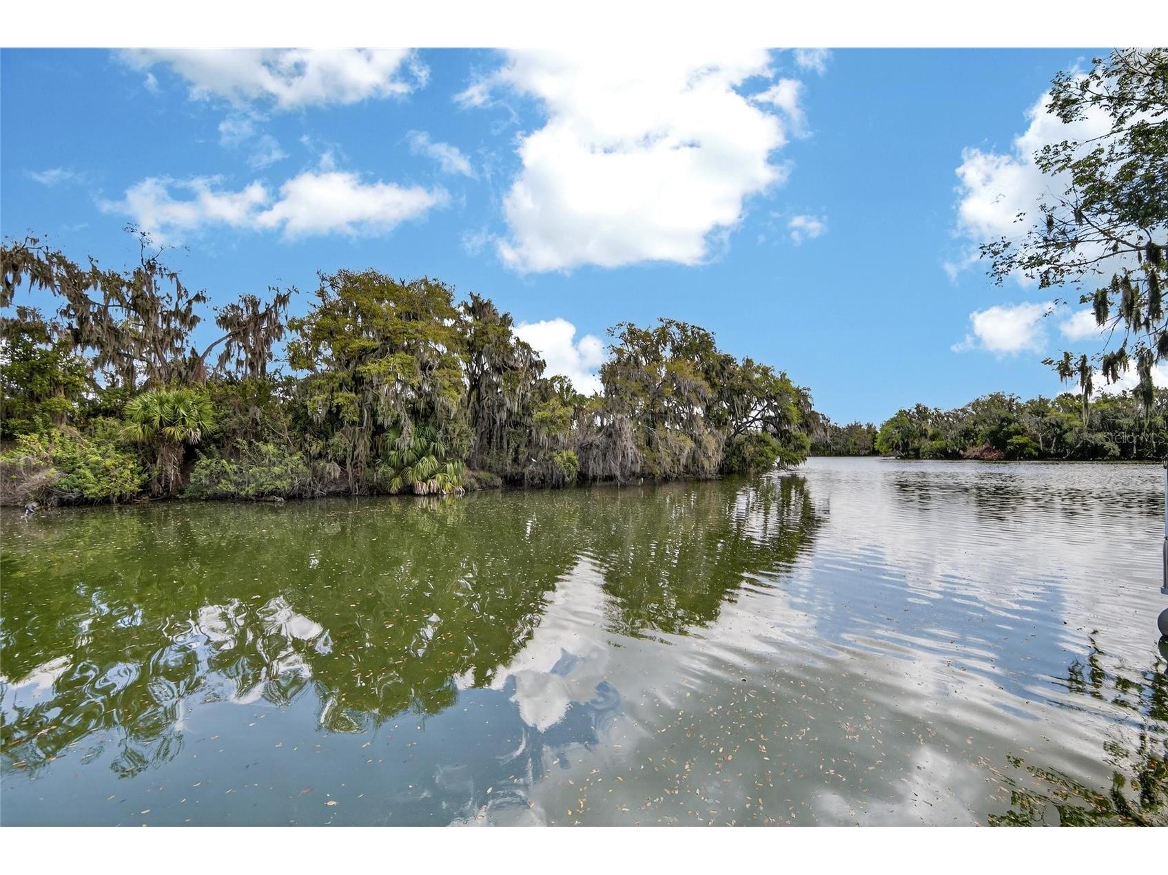 6870 Shimmering Drive Lakeland FL 33813 - LAKE CHRISTINA TB8485117 image3