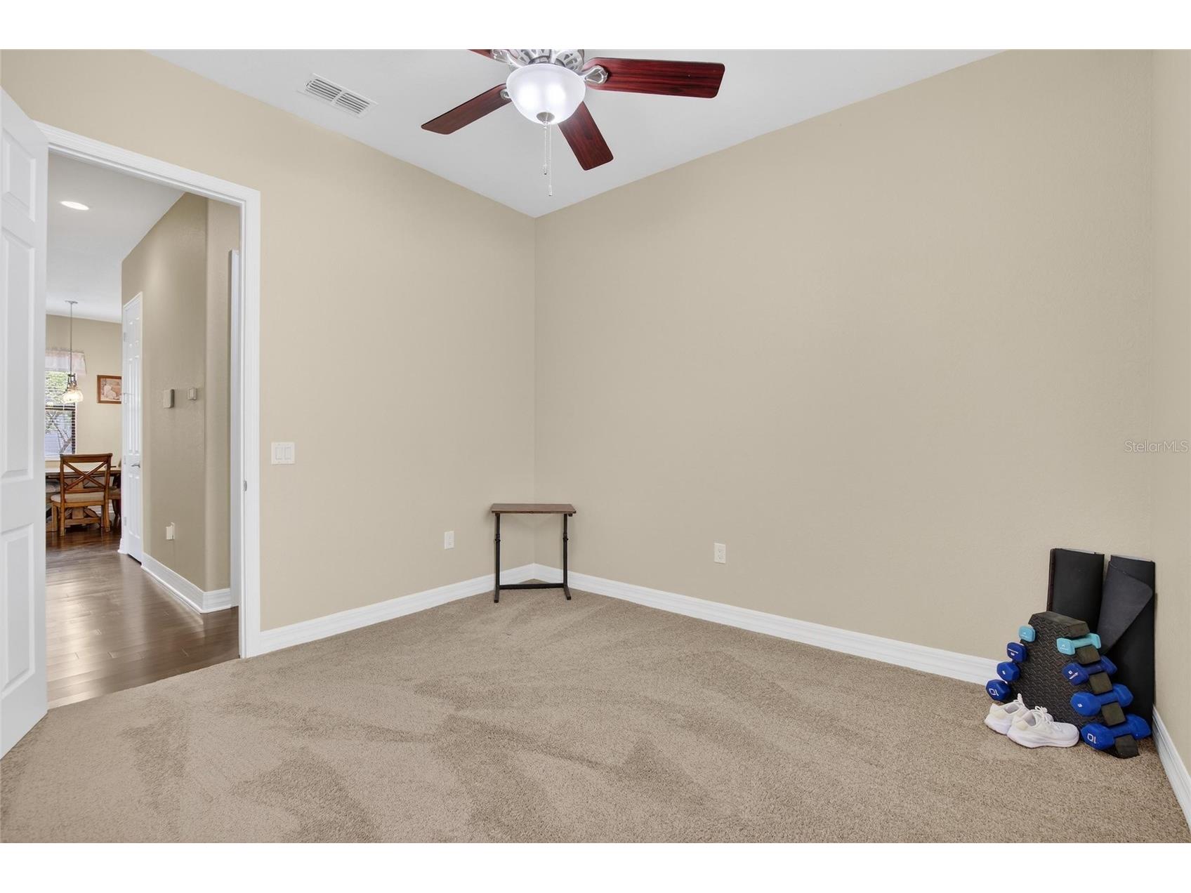 6870 Shimmering Drive Lakeland FL 33813 - LAKE CHRISTINA TB8485117 image39