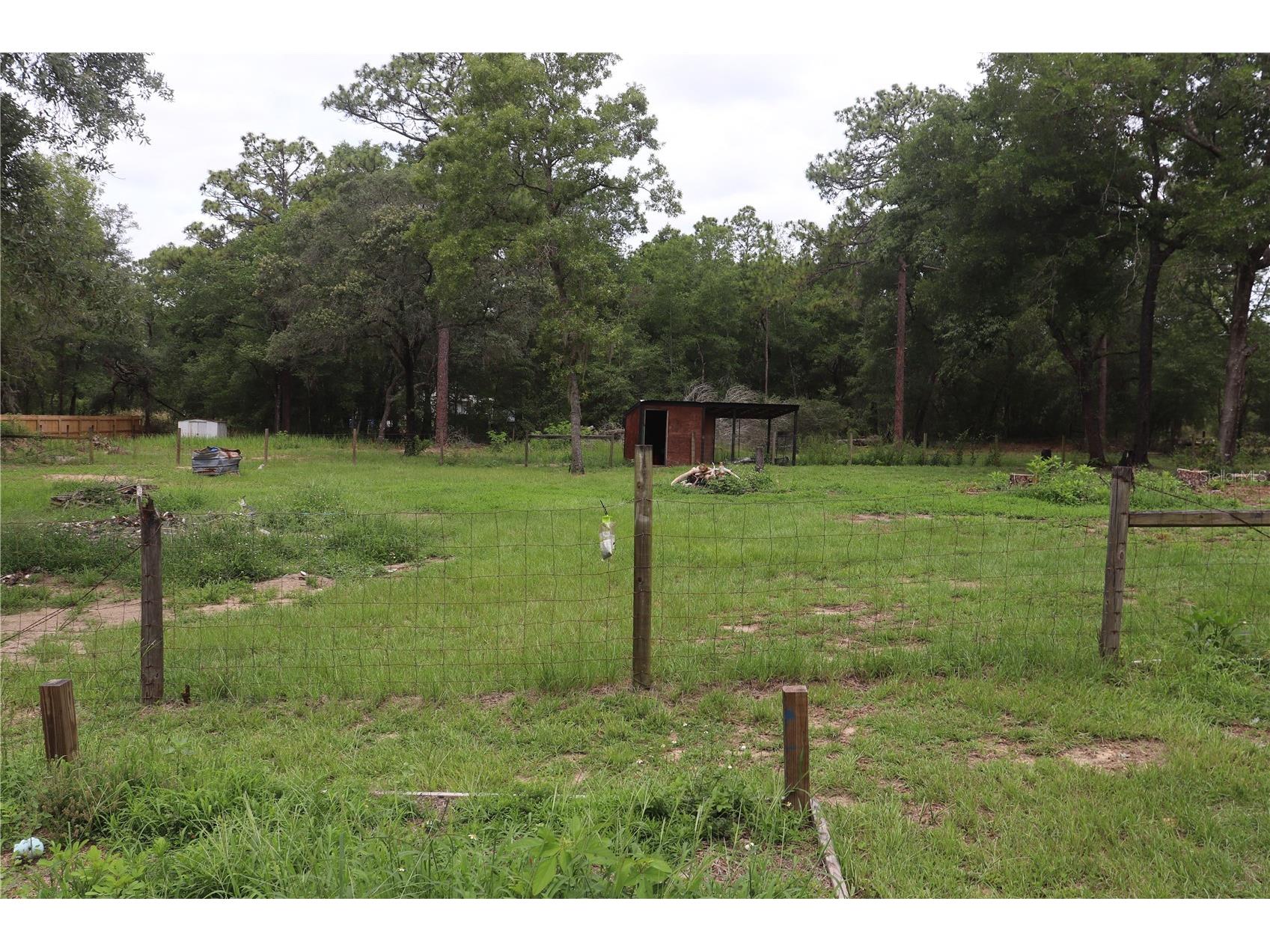 6870 SW 206th Avenue Dunnellon FL 34431 OM725951 image5