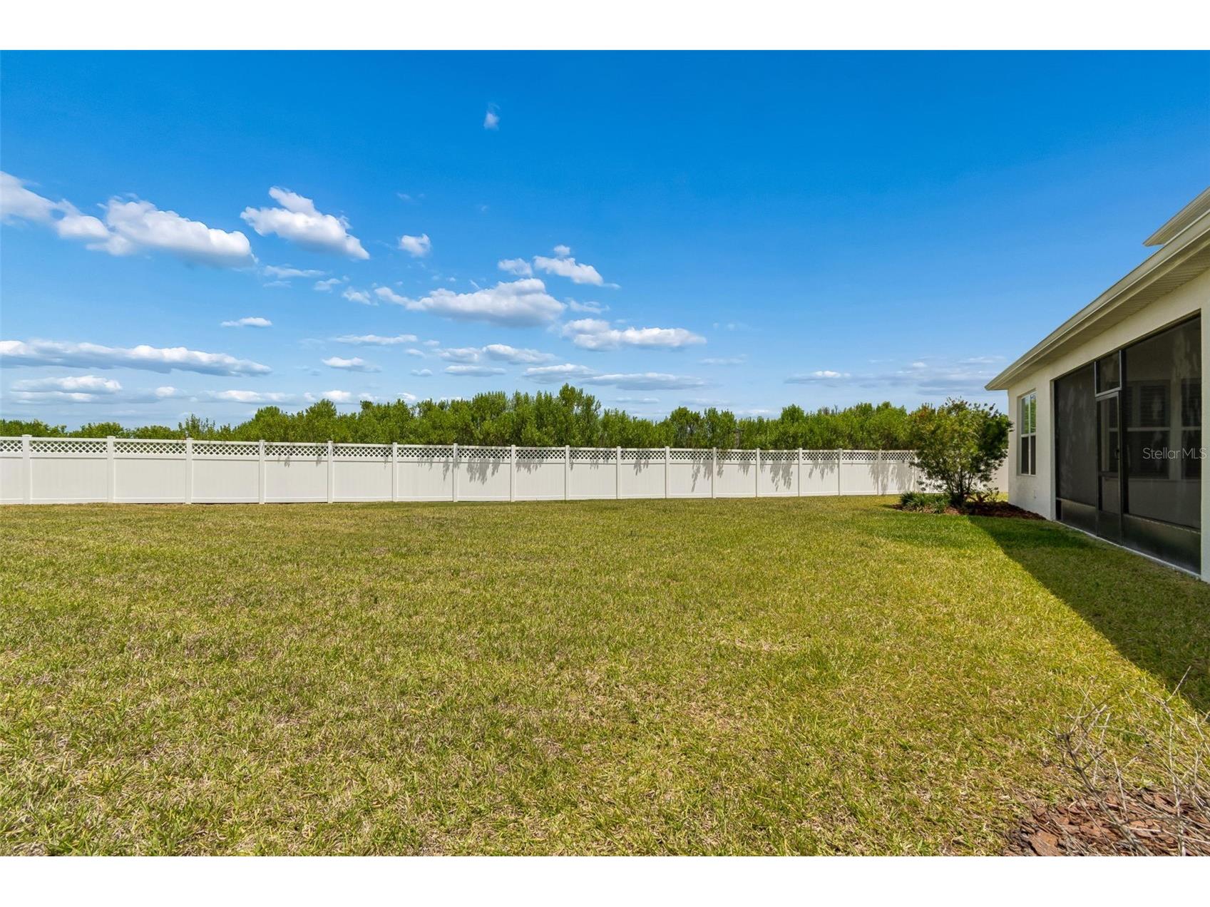 6870 Talamore Drive Wesley Chapel FL 33545 TB8502894 image56