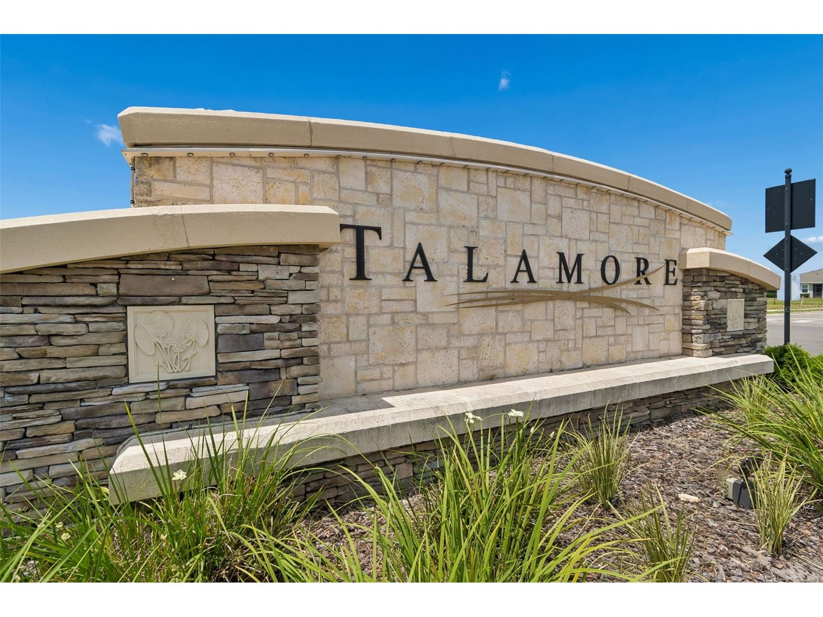 6870 Talamore Drive Wesley Chapel FL 33545 TB8502894 image66