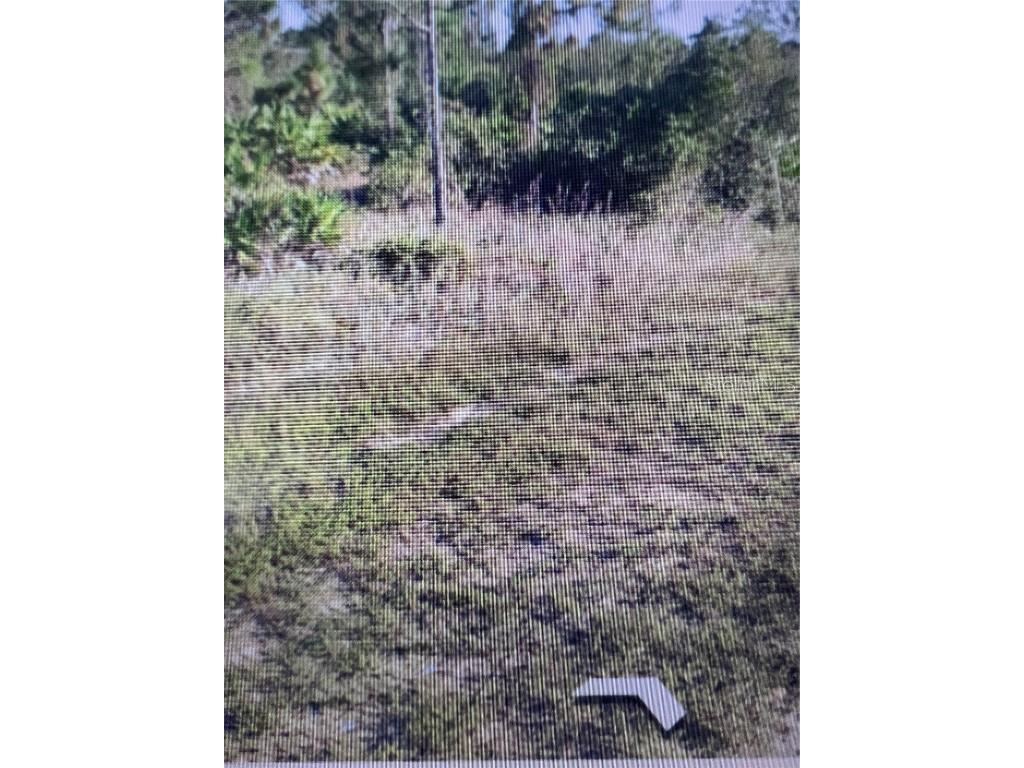 6871 Fort Myers Drive Indian Lake Estates FL 33855 TB8383519 image4