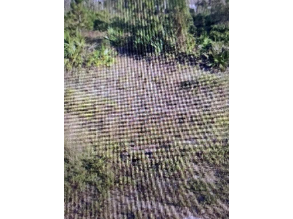 6871 Fort Myers Drive Indian Lake Estates FL 33855 TB8383519 image5