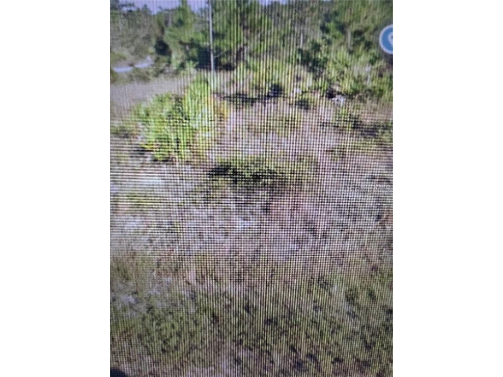 6871 Fort Myers Drive Indian Lake Estates FL 33855 TB8383519 image6
