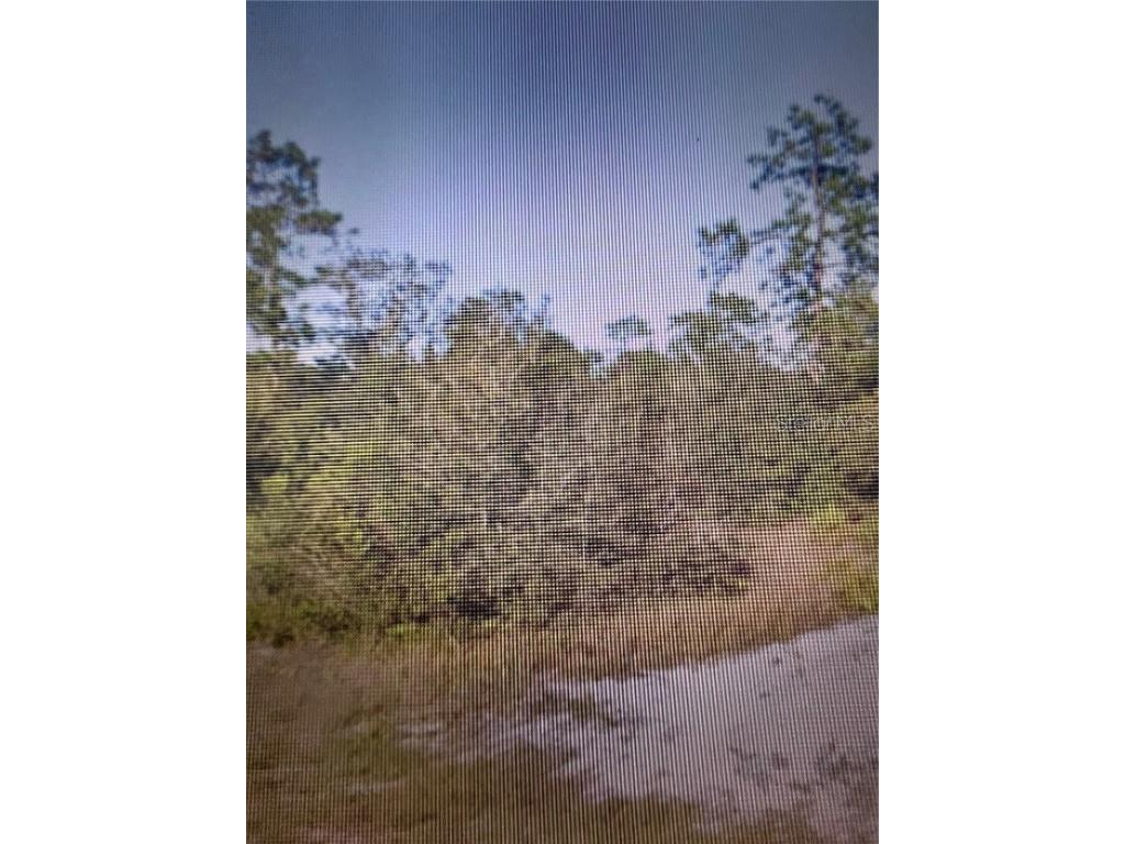 6871 Fort Myers Drive Indian Lake Estates FL 33855 TB8383519 image7