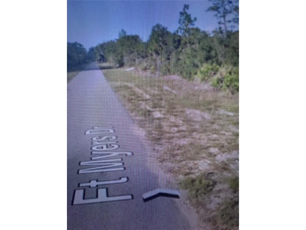 6871 Fort Myers Drive Indian Lake Estates FL 33855 TB8383519 image9