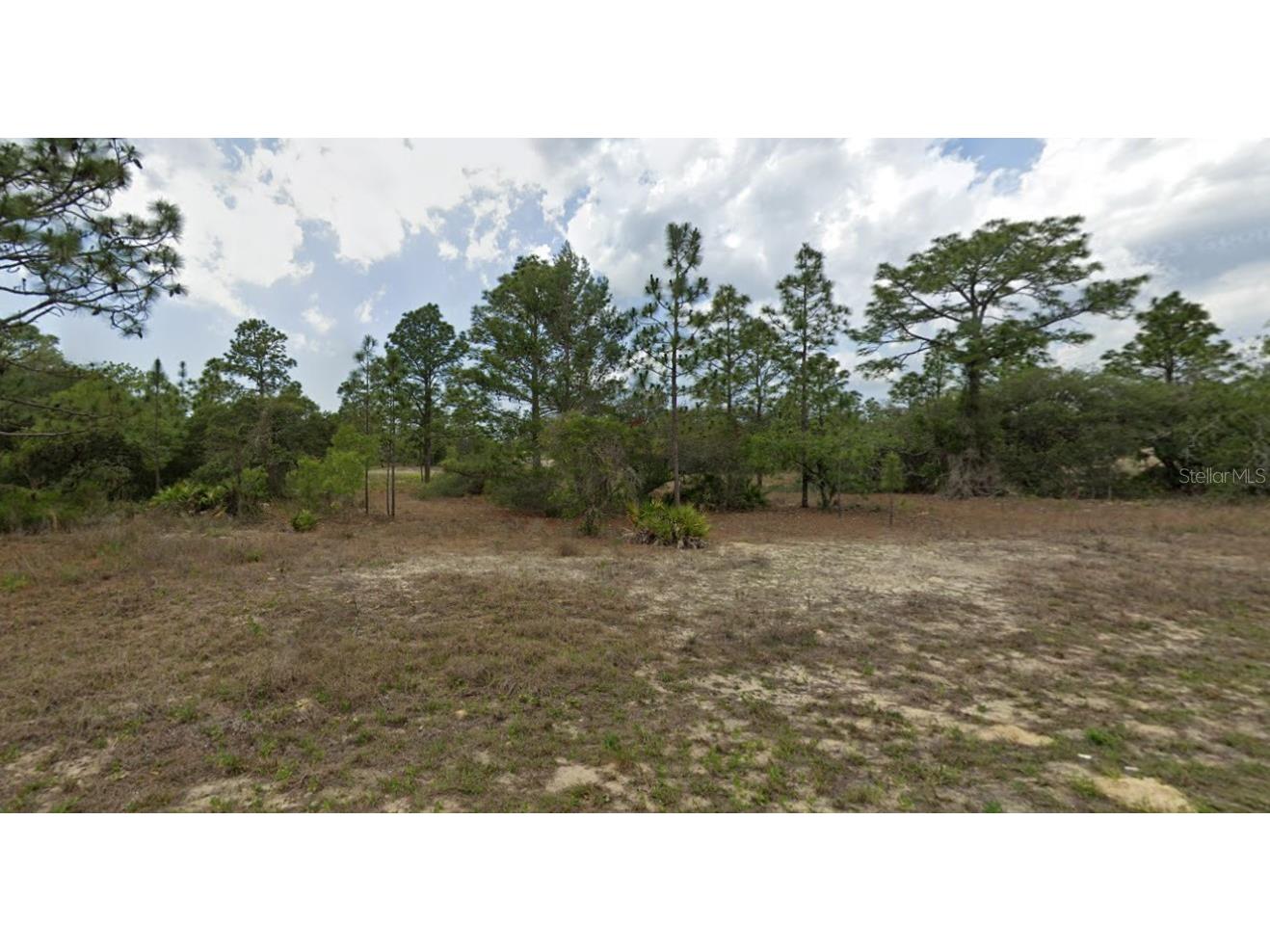 6871 N Pavilion Loop Citrus Springs FL 34433 J972372 image1