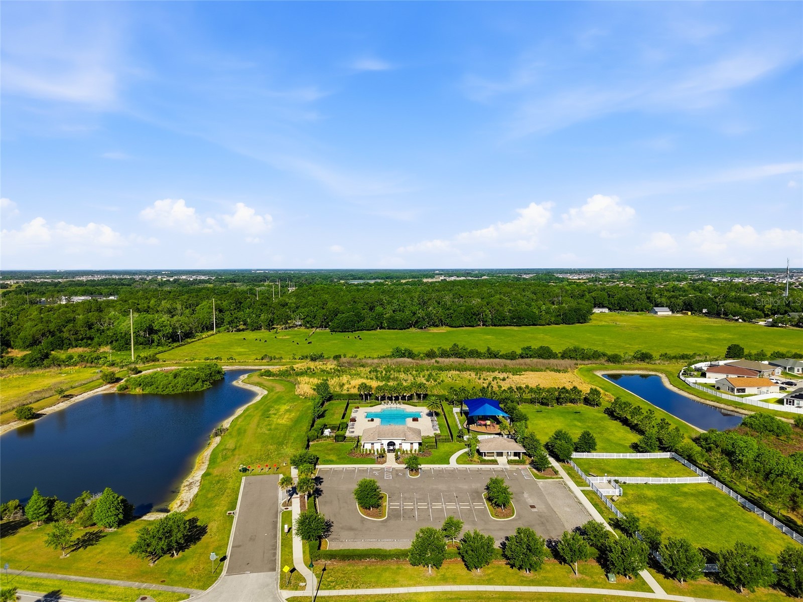 6872 Gideon Circle Zephyrhills FL 33541 TB8501550 image33