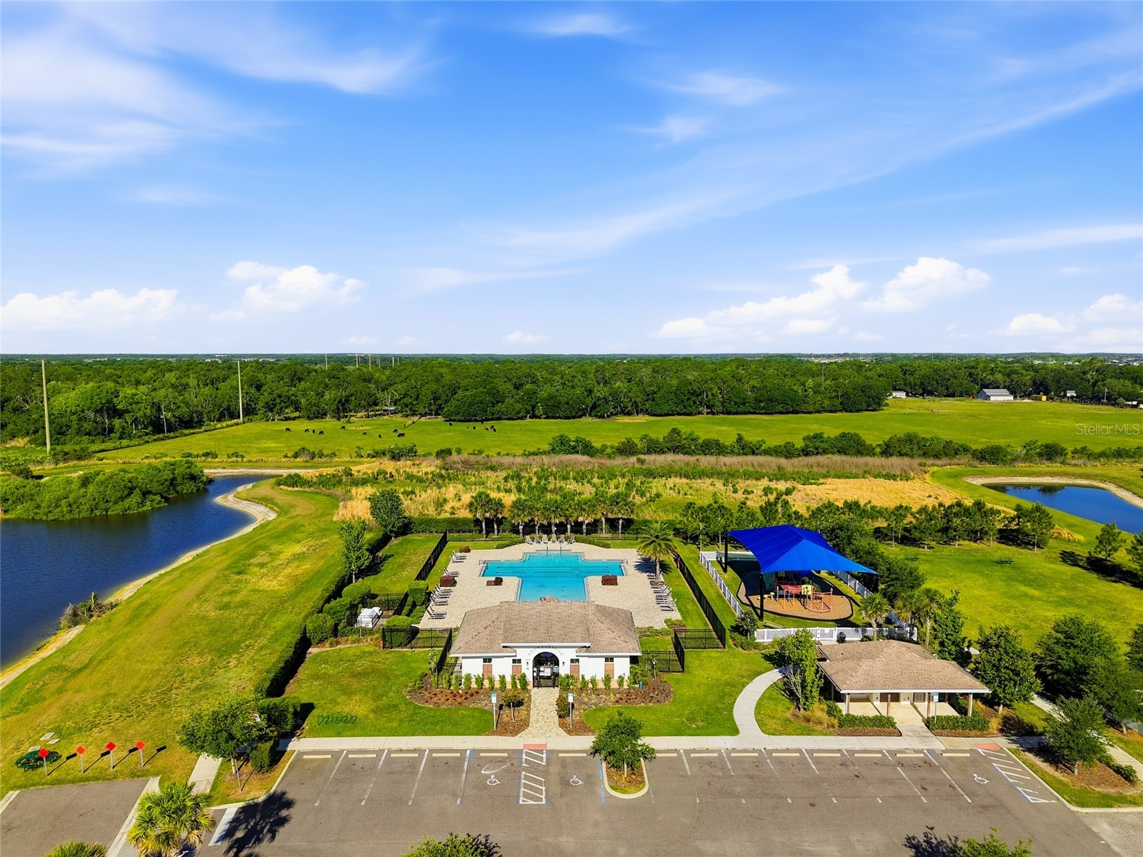 6872 Gideon Circle Zephyrhills FL 33541 TB8501550 image34