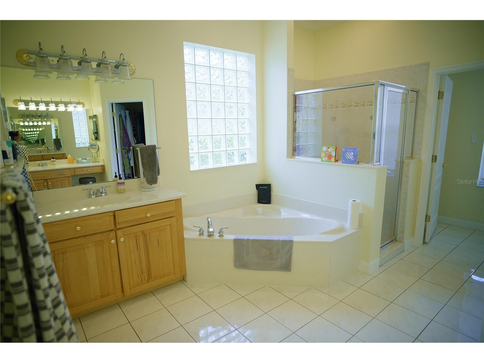 6873 Scythe Avenue Orlando FL 32812 O6404838 image16