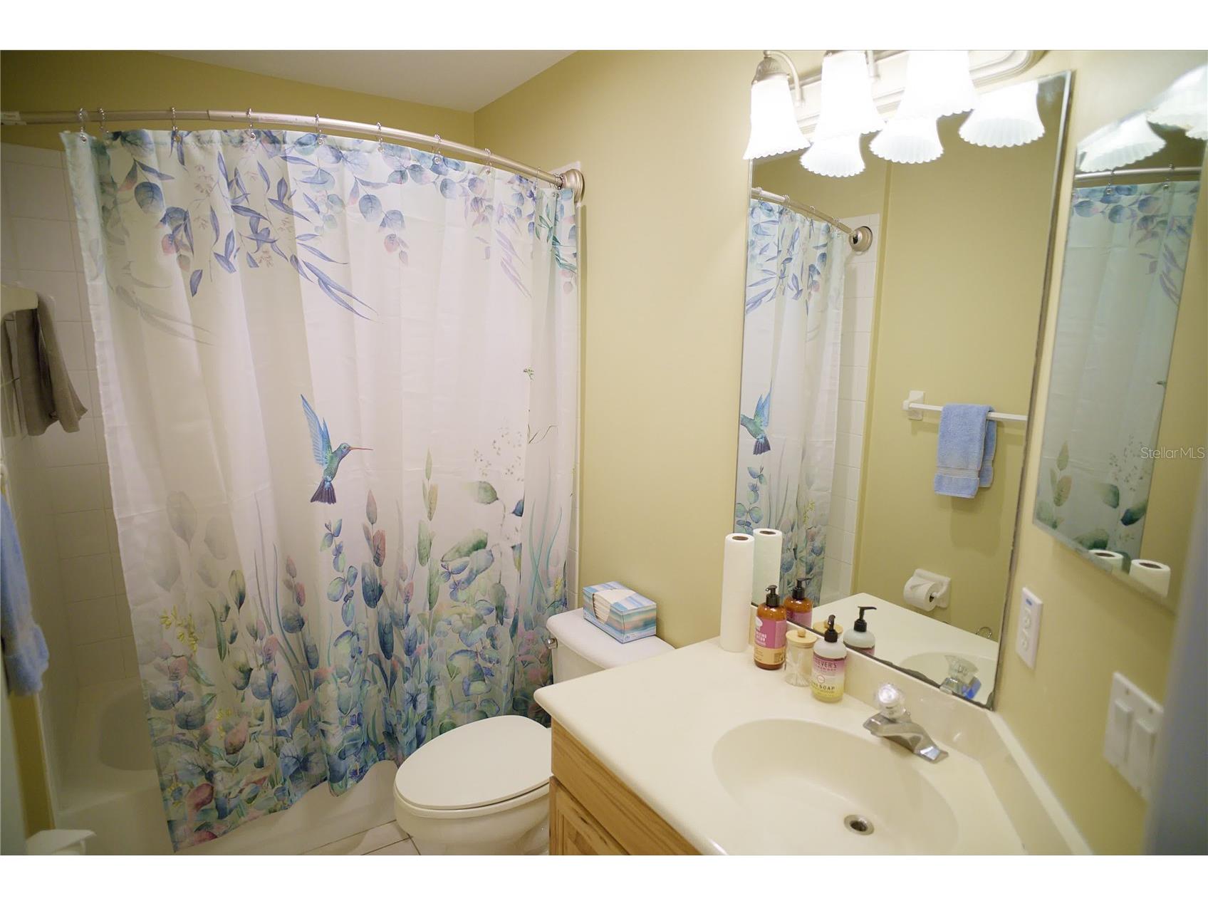 6873 Scythe Avenue Orlando FL 32812 O6404838 image22