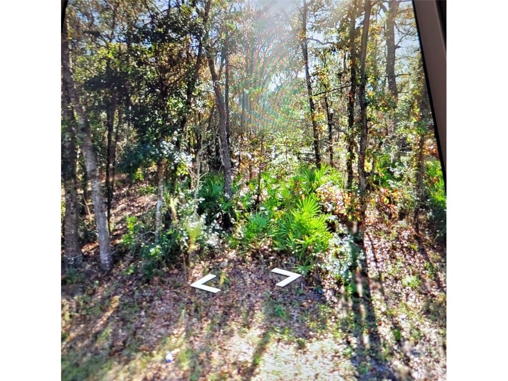 6874 W Van Buren Drive Homosassa FL 34448 T3466536 image1