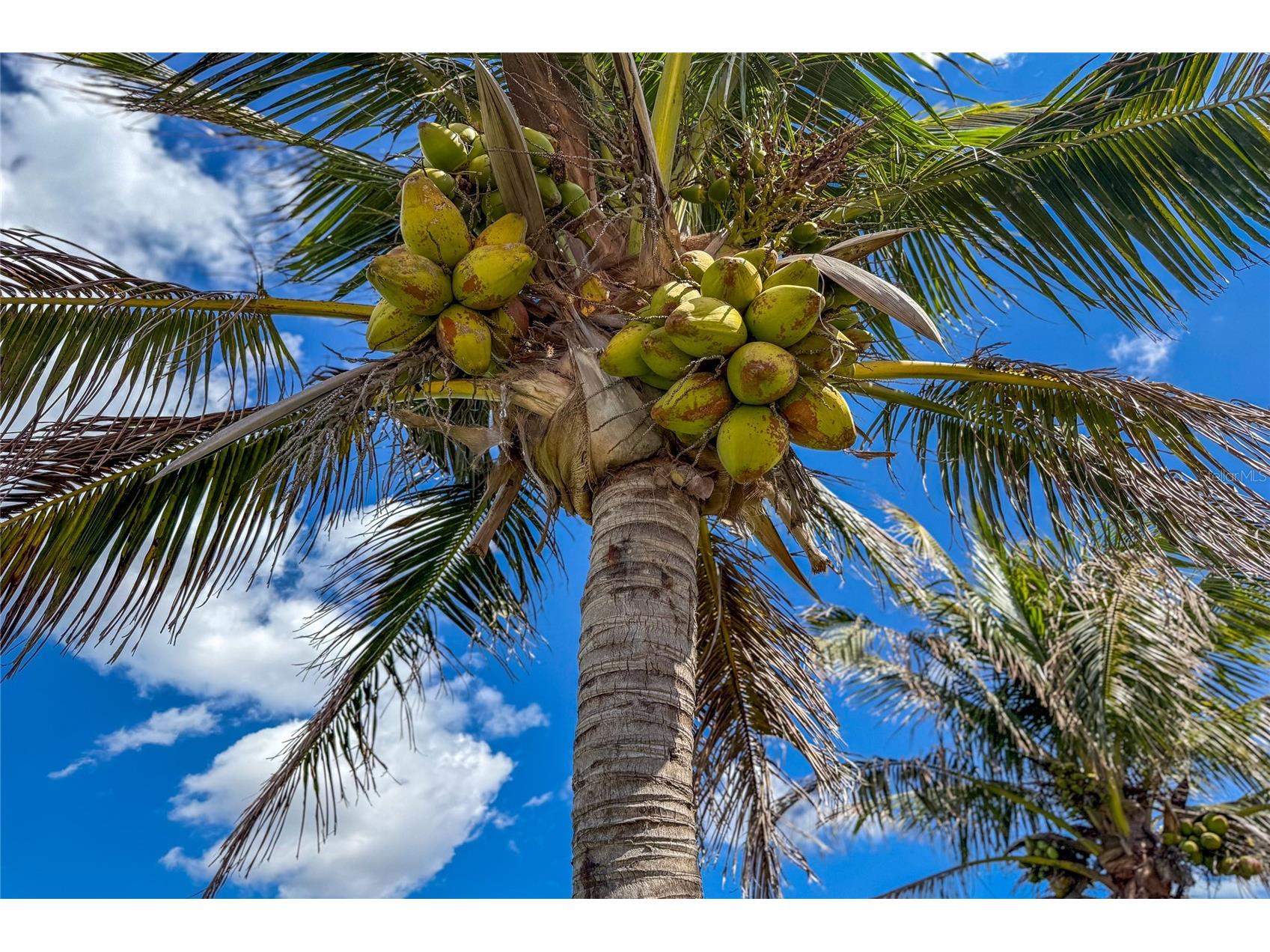 6875 Manasota Key Road Englewood FL 34223 - LEMON BAY D6146510 image66