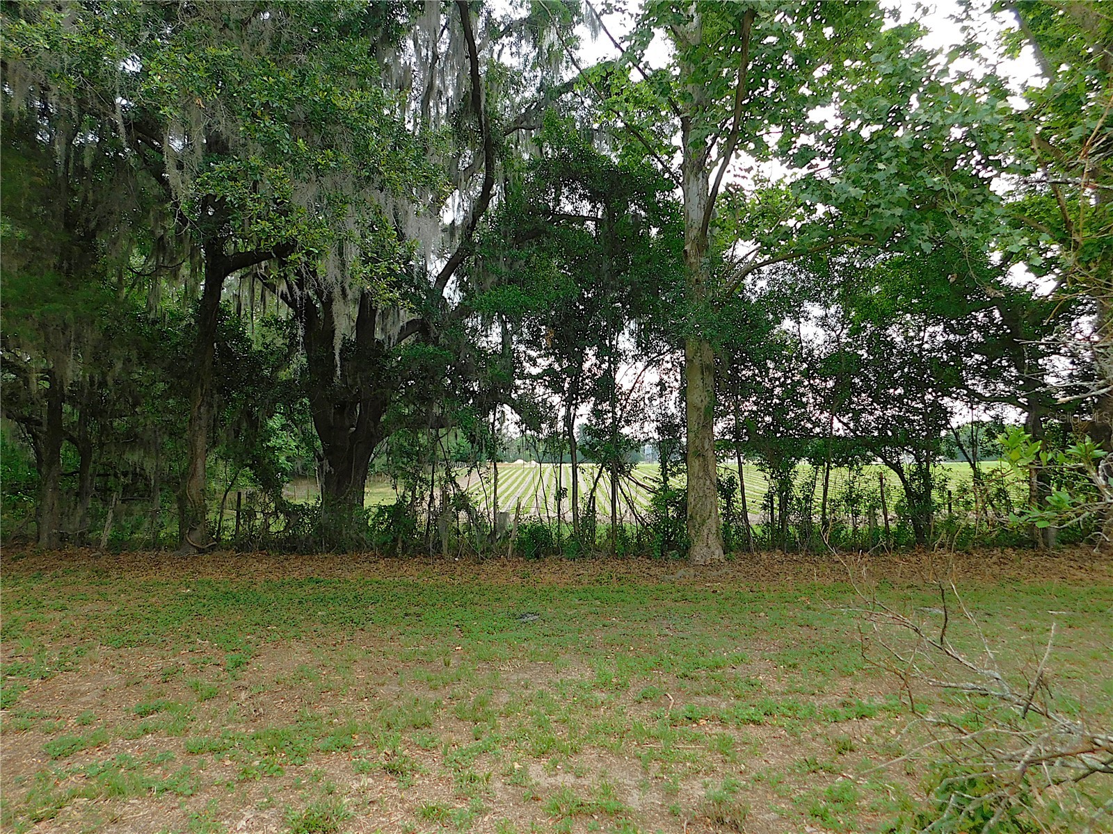 6875 NE 25th Avenue Ocala FL 34479 OM724465 image64