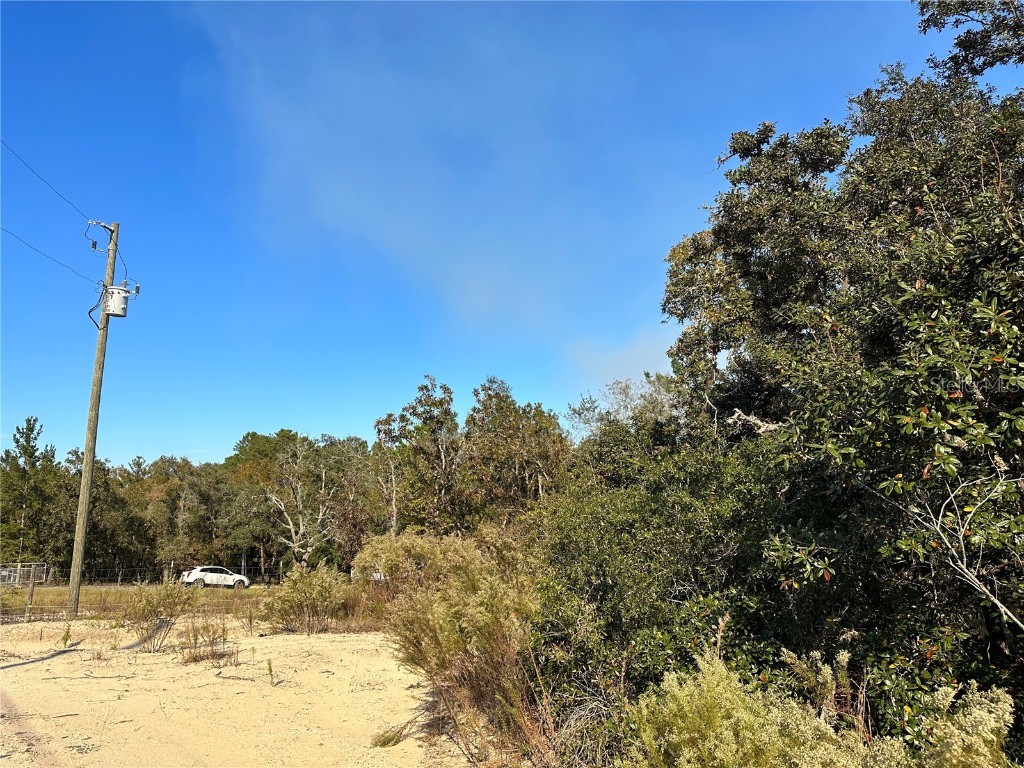 6875 S Bradly Point Lecanto FL 34461 W7859390 image1